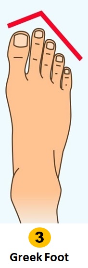 Formato de pé grego
