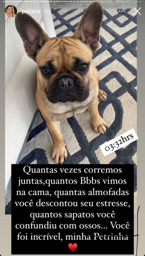 Poliana Rocha, esposa de Leonardo, lamenta morte da cachorrinha (Foto: Reprodução/Instagram)