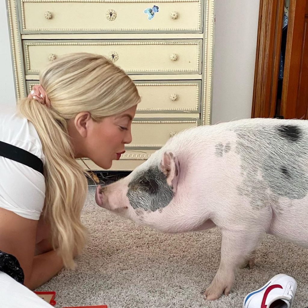 Tori Spelling e seu porco