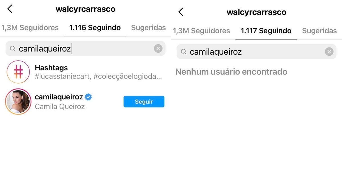 Walcyr Carrasco deixou de seguir Camila Queiroz no Instagram (Foto: Reprodução/Instagram)