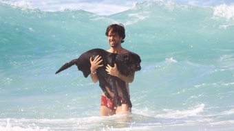 Marcos Pitombo brinca com cachorro na praia da Barra da Tijuca (Foto: Fabricio Pioyani/AgNews)