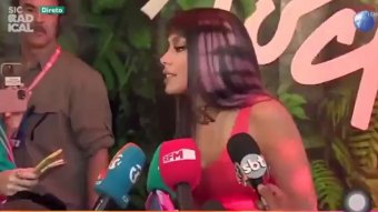 Anitta denunciou descado dos órgãos públicos com a Amazônia (Reprodução/Twitter)