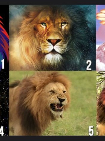 Escolha um leão