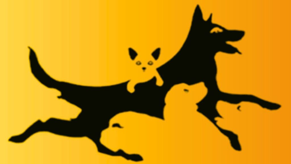 Quantos cachorros você vê na foto? Faça o teste e descubra sua idade mental Quantos cachorros você vê na foto