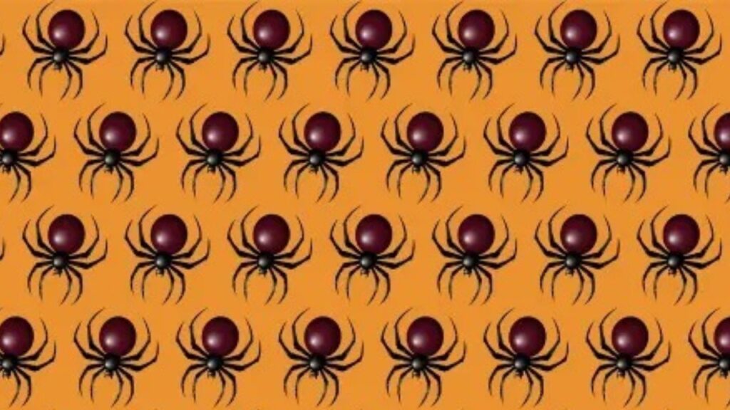 Teste de Personalidade: encontre a aranha diferente em apenas 12 segundos e descubra se você é uma pessoa perspicaz Imagem com aranhas