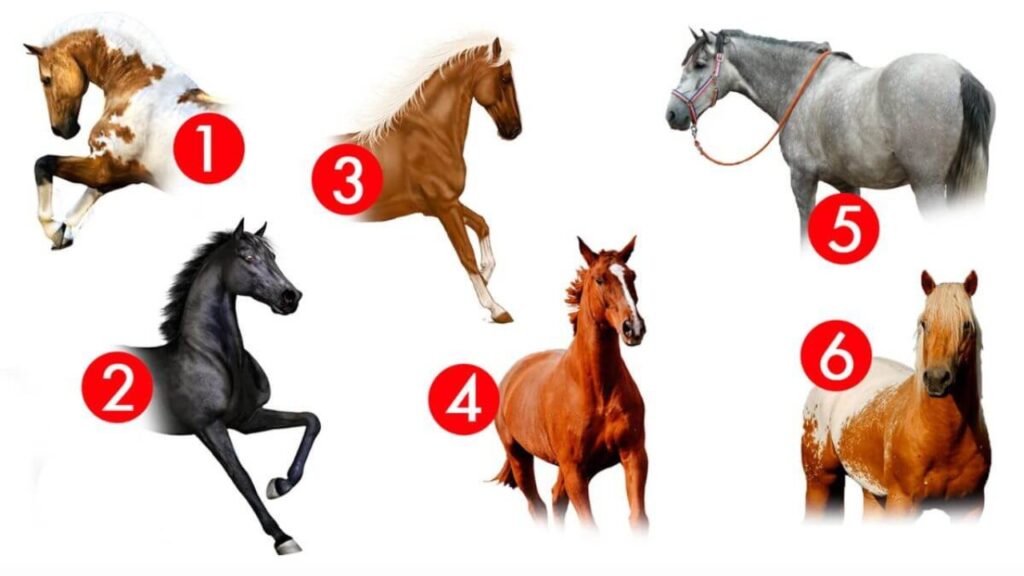 Teste de personalidade escolha um cavalo