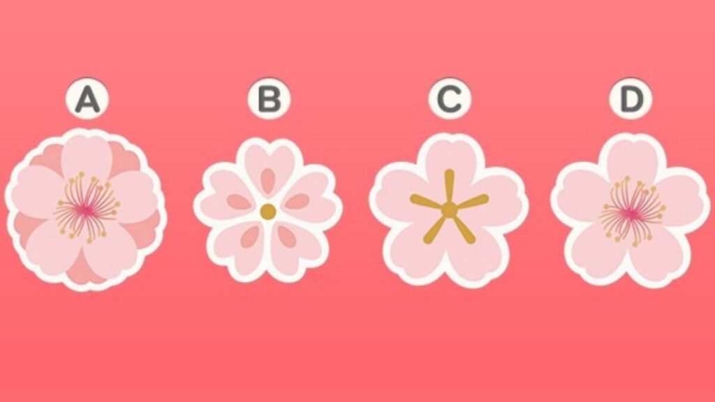 Teste flor de cerejeira