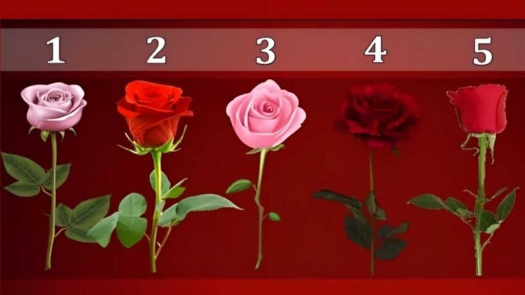 Teste de personalidade rosas