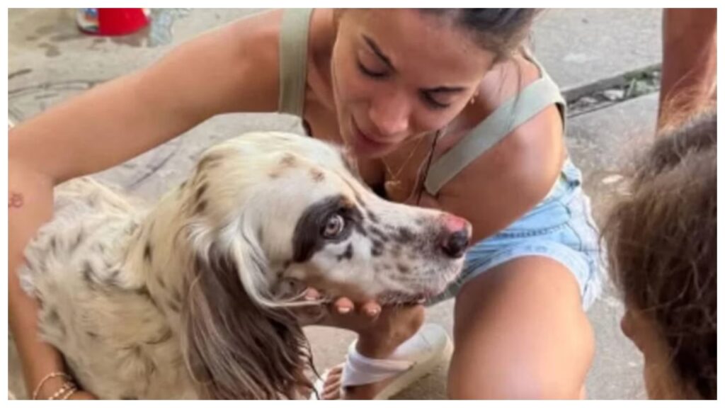 Cachorro de Anitta é resgatado por bombeiros após ficar preso cachorro de anitta e resgatado por bombeiros apos ficar preso