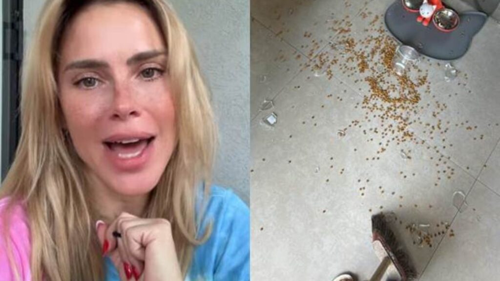 Carolina Dieckmann revela que teve a casa invadida por macacos Carolina Dieckmann revela que teve a casa invadida por macacos