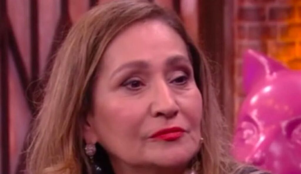 Sônia Abrão detona Vilma após atitude no Sincerão do BBB 25 Sônia Abrão detona Vilma após atitude no Sincerão do BBB 25