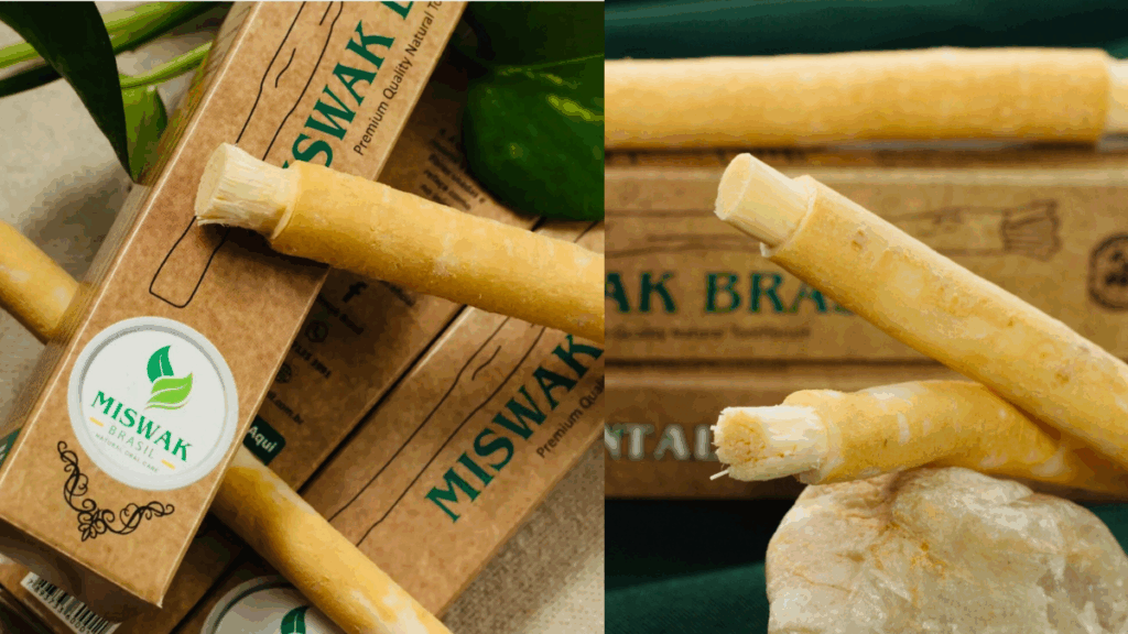 Miswak Brasil estreia na Naturaltech com produto milenar, natural e 100% ecológico