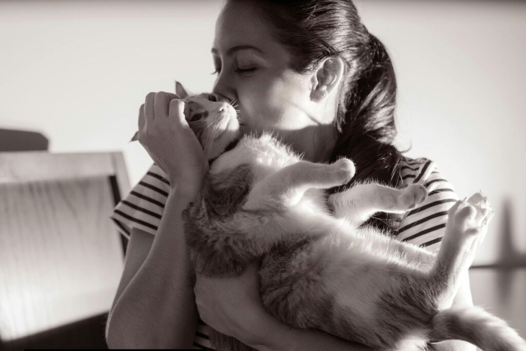 O que a psicologia diz sobre as pessoas que amam gatos? 1 gato recebendo carinho