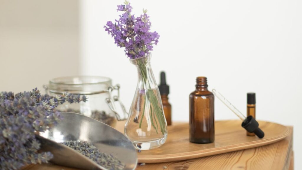 Lavanda: o truque natural para espantar moscas e perfumar o quarto; confira