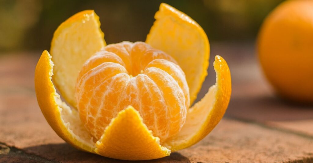 Cascas de tangerina ao sol: o truque simples que transforma aroma, limpeza e receitas