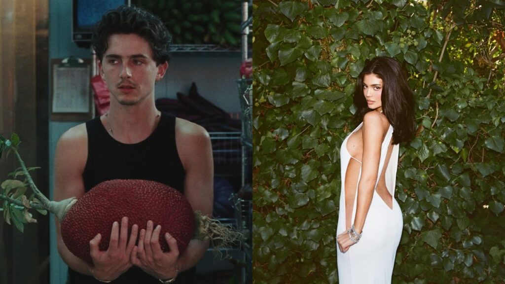 Kylie Jenner e Timothée Chalamet terminam namoro de forma repentina; saiba o motivo