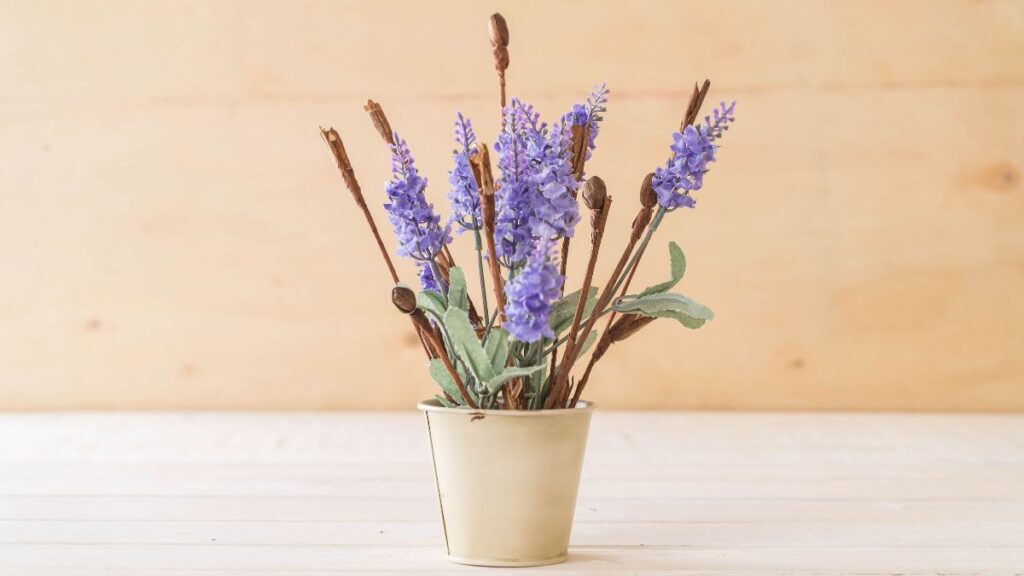 Troque o aromatizador de tomada por essa planta e o perfume da casa muda completamente