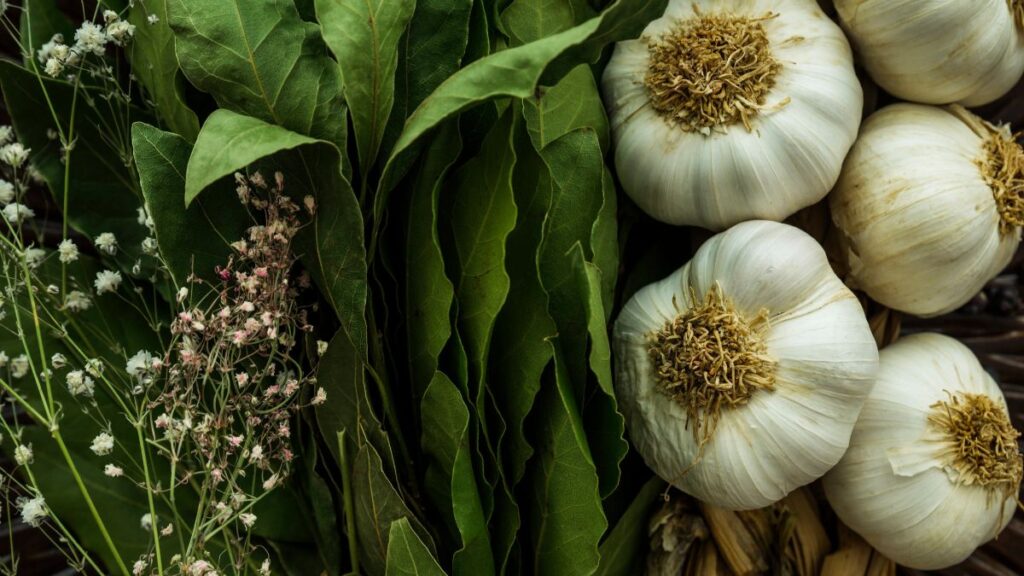 Por que colocar alho ao redor das plantas ajuda no jardim