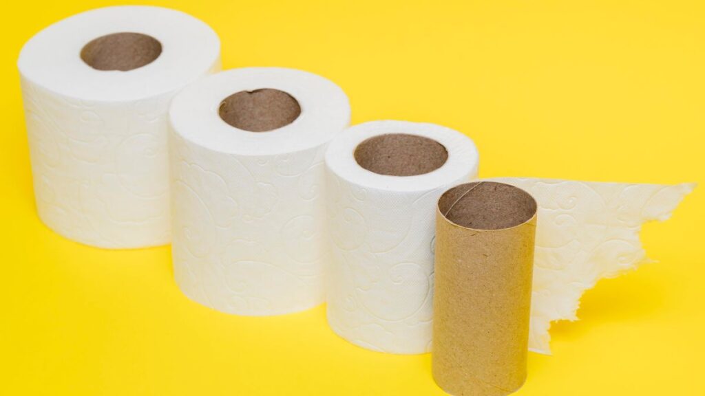 Saiba como reutilizar rolinhos de papel higiênico e transformar a decoração Saiba como reutilizar rolinhos de papel higiênico e transformar a decoração