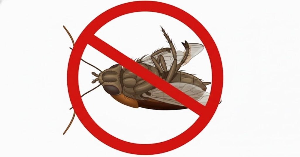 Receitas naturais para afastar moscas e baratas que realmente funcionam Ilustração de uma mosca com símbolo de proibição em vermelho, representando o controle e o afastamento de insetos dentro de casa.
