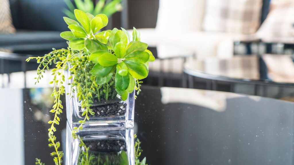 3 plantas aquáticas que ficam lindas dentro de casa e quase não precisam de cuidados 3 plantas aquáticas que ficam lindas dentro de casa e quase não precisam de cuidados