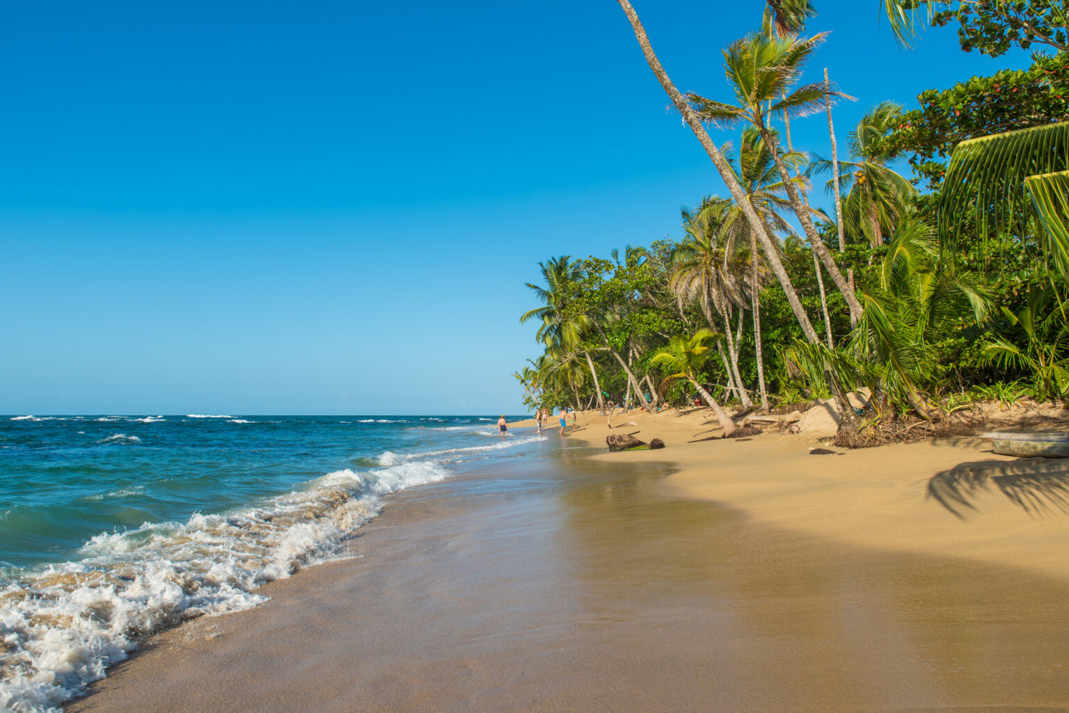 Os destinos nacionais que vão definir o verão de 2026 Praia tropical no Brasil com coqueiros, mar azul e faixa de areia dourada, representando um dos destinos nacionais que vão definir o verão de 2026