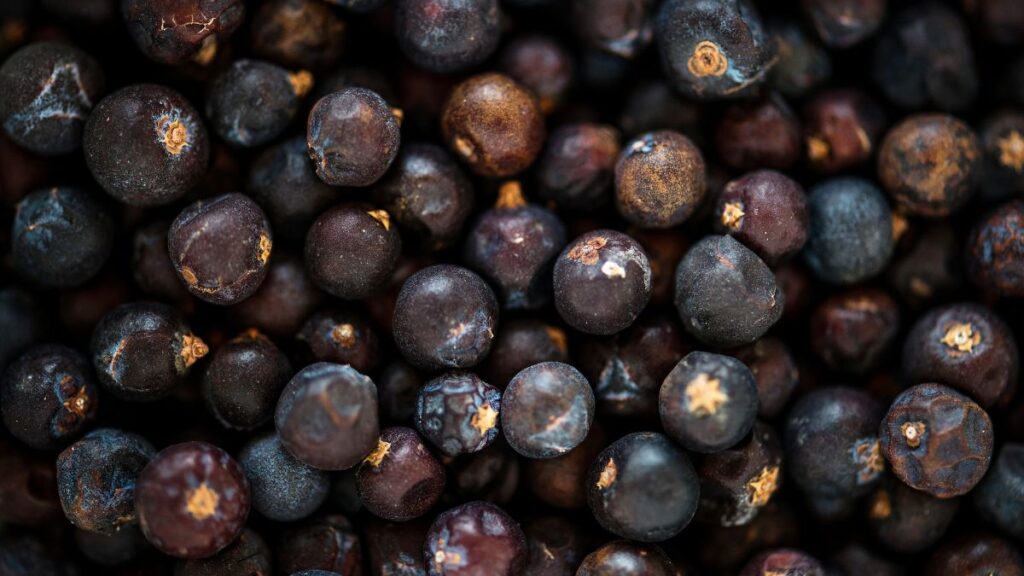 jabuticaba fruta antioxidantes
