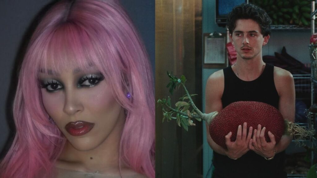 Doja Cat aparece em close usando peruca rosa e maquiagem marcante, enquanto Timothée Chalamet surge em cena segurando um grande fruto em um ambiente interno.