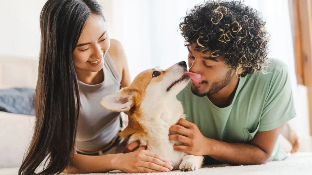 Pelos por toda parte? 5 truques simples para manter a casa limpa com pets Casal sorrindo enquanto interage com cachorro dentro de casa, mostrando convivência com pets e controle de pelos no ambiente doméstico