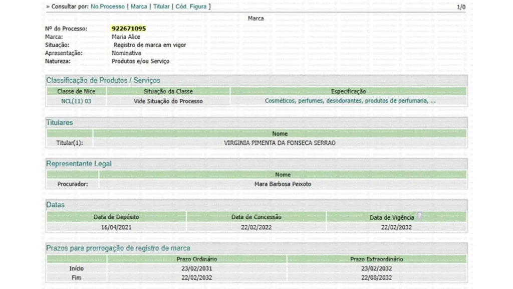 Print de tentativas de registro de Virginia no INPI