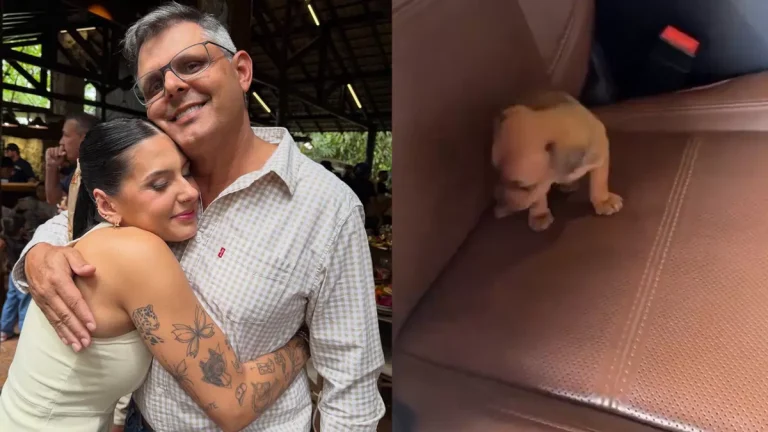 Montagem de fotos com Ana Castela, o pai, Rodrigo Castela e o novo cachorrinho da família